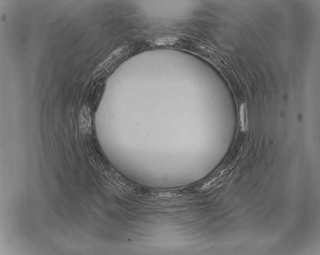 X0000068271443200605191816