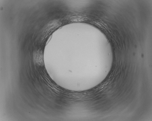 X0000068271444200605191816