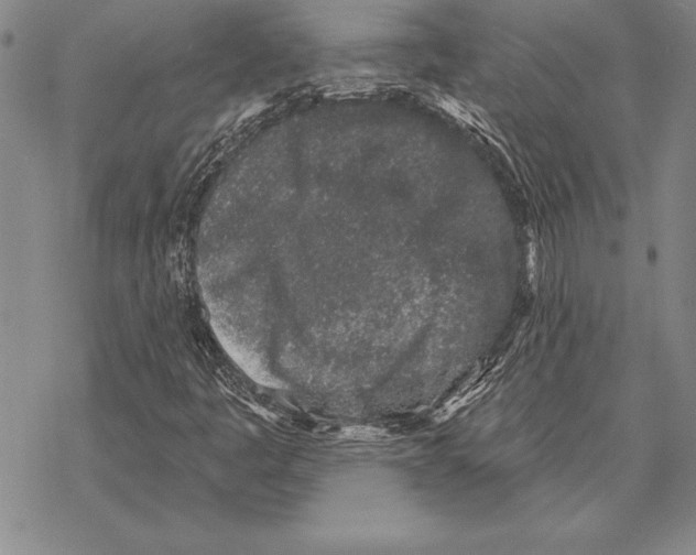 X0000068271445200605191816