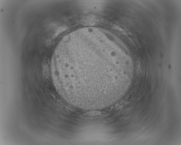 X0000068271446200605191816