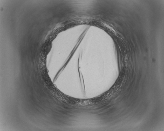 X0000068271447200605191816