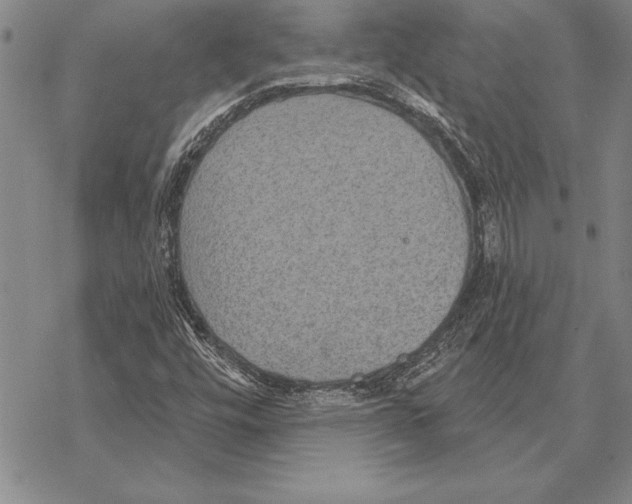 X0000068271448200605191816