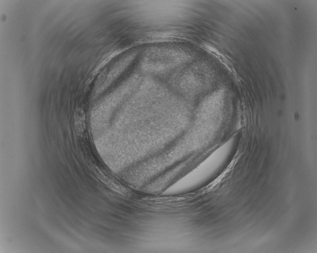 X0000068271449200605191816