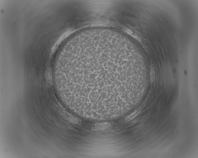 X0000068271454200605191816