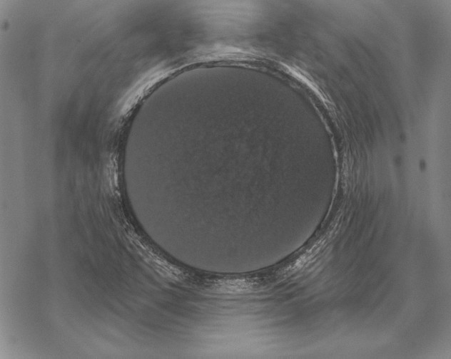 X0000068271455200605191816