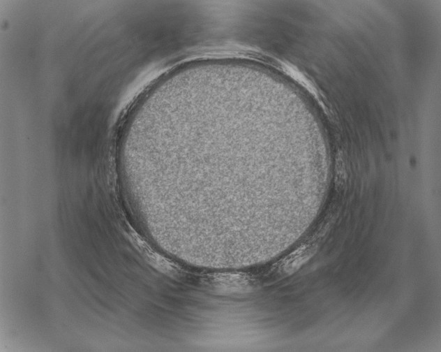 X0000068271456200605191816