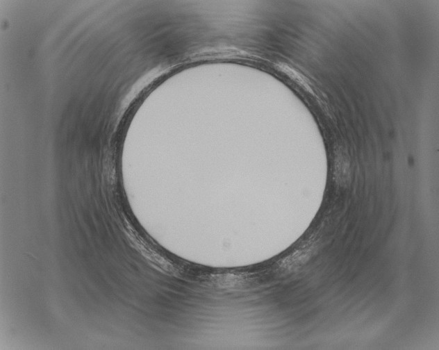 X0000068271458200605191816