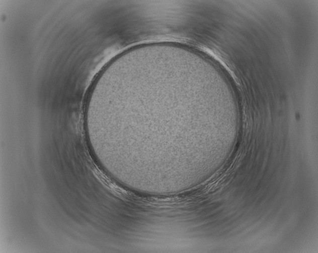 X0000068271460200605191816