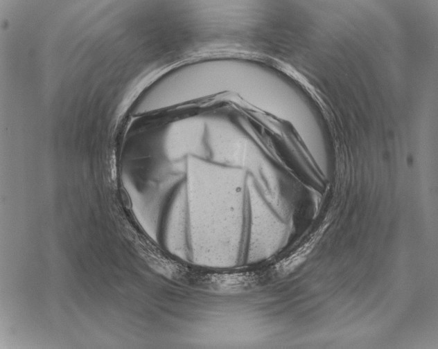 X0000068271461200605191816