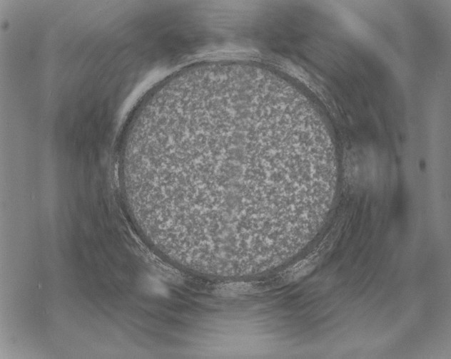 X0000068271462200605191816