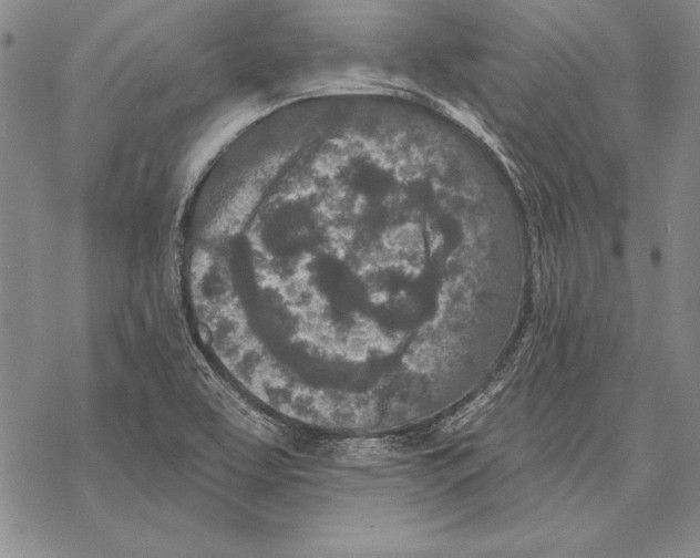 X0000068271463200605191816