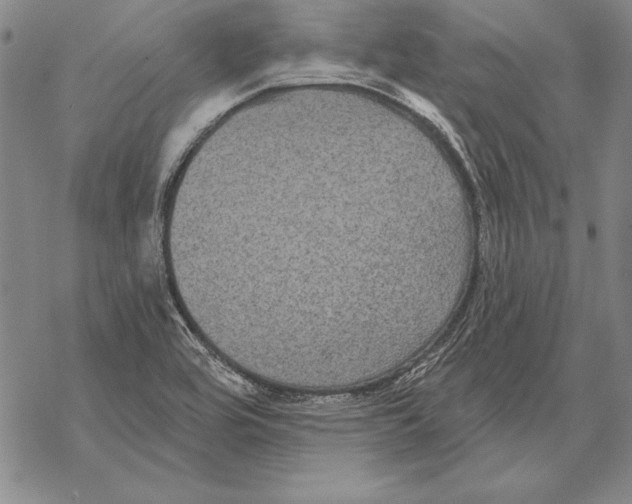 X0000068271464200605191816