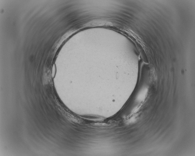 X0000068271465200605191816