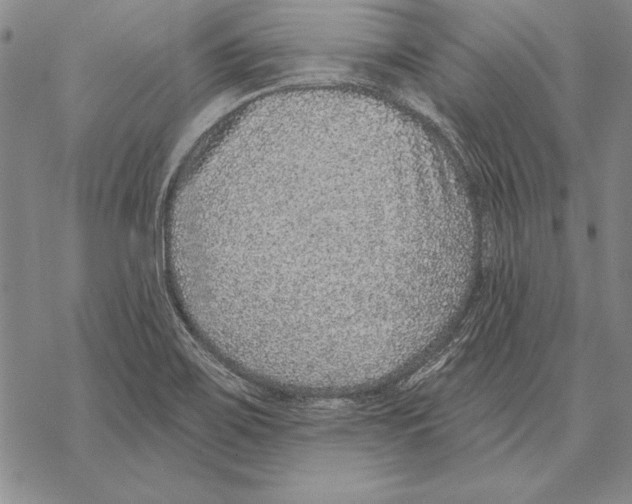 X0000068271467200605191816