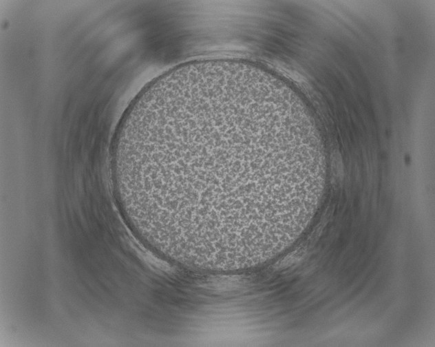 X0000068271470200605191816