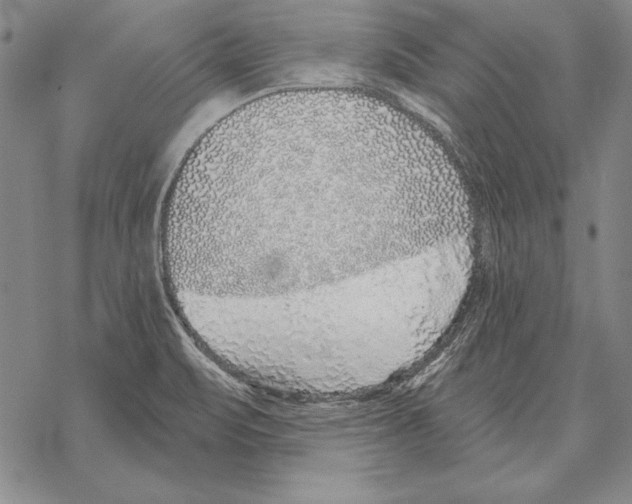 X0000068271471200605191815