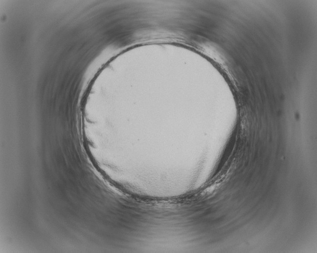 X0000068271472200605191815