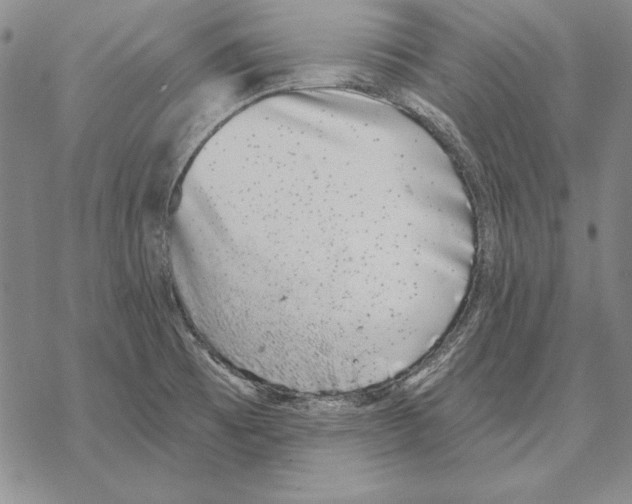 X0000068271473200605191815