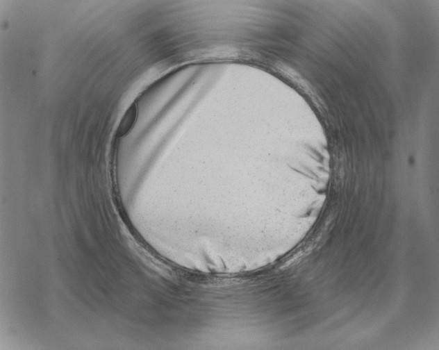 X0000068271475200605191815