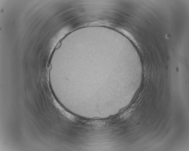 X0000068271476200605191815