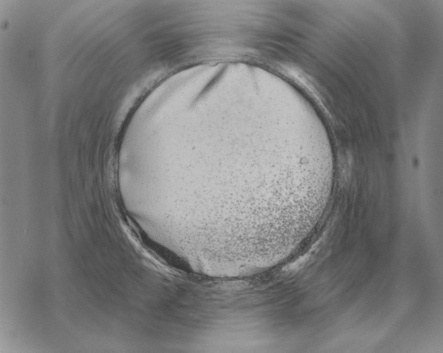 X0000068271477200605191815