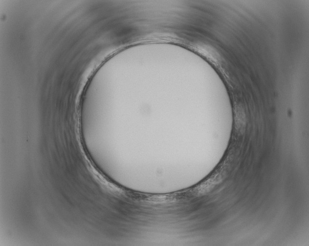 X0000068271478200605191815