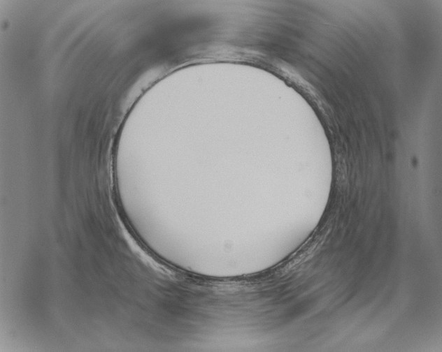 X0000068271479200605191815