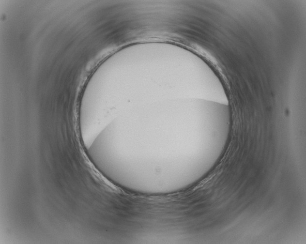 X0000068271480200605191815