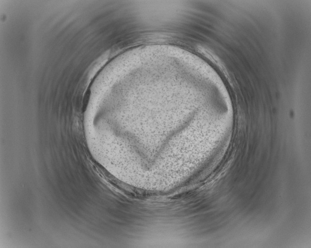 X0000068271481200605191815