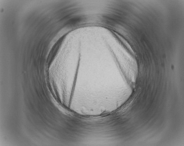 X0000068271482200605191815