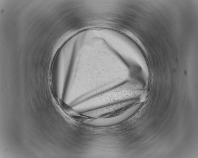 X0000068271485200605191815