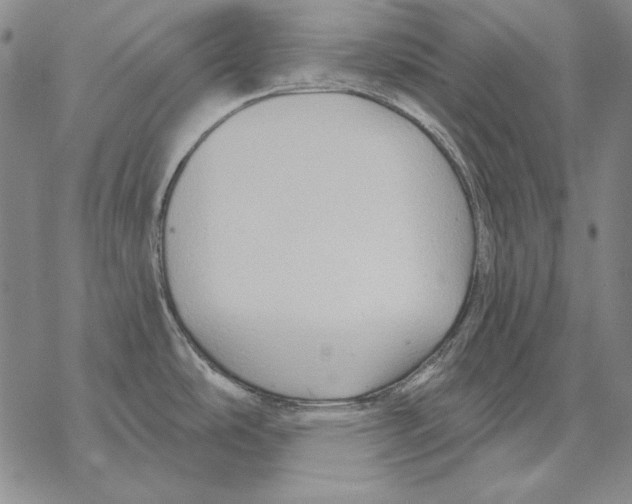 X0000068271486200605191815