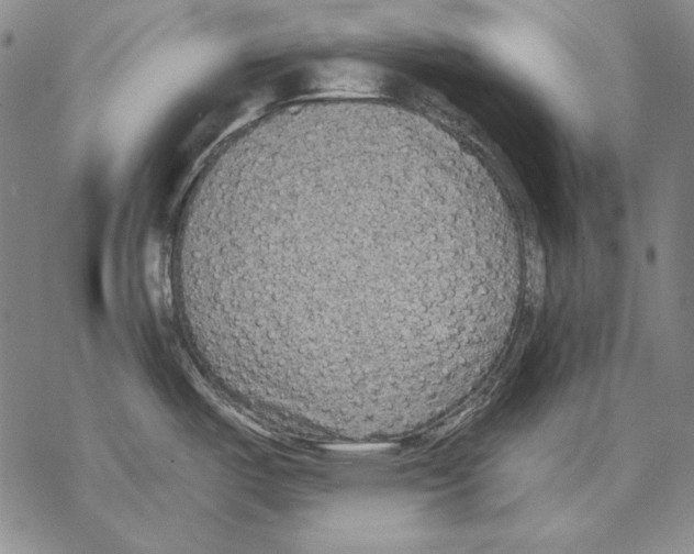 X0000068271487200605191815