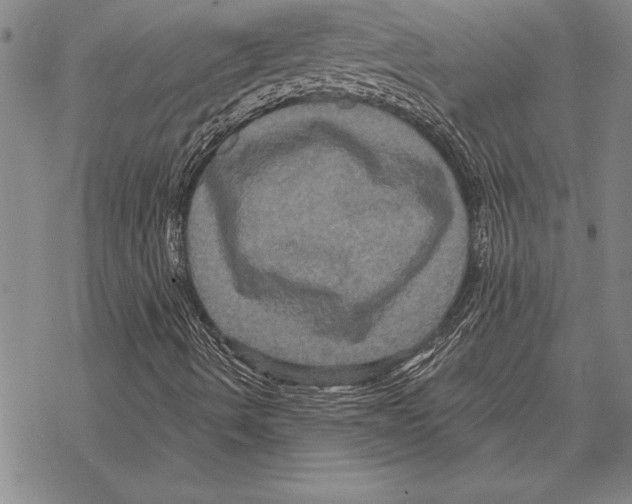 X0000068271490200605191814