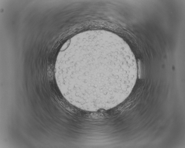 X0000068271491200605191814