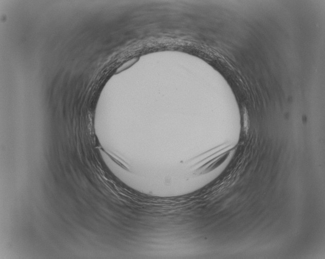 X0000068271492200605191814