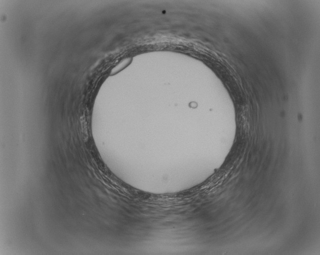 X0000068271493200605191815