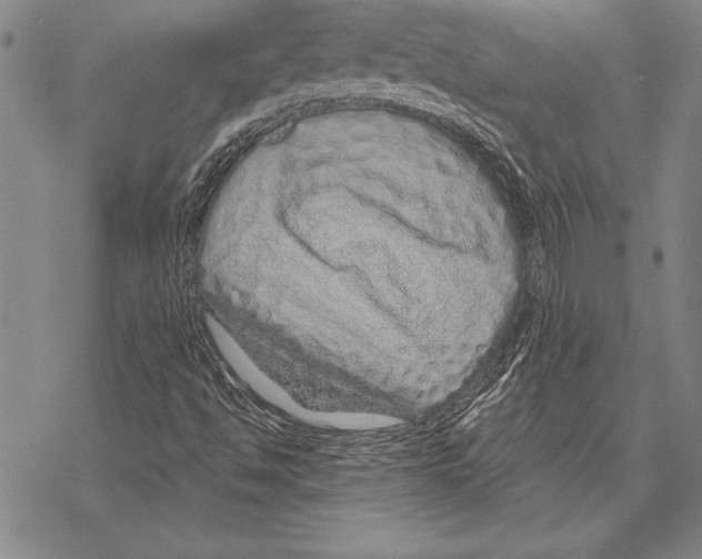 X0000068271494200605191815