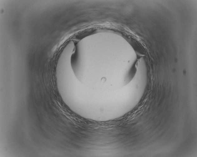 X0000068271496200605191815