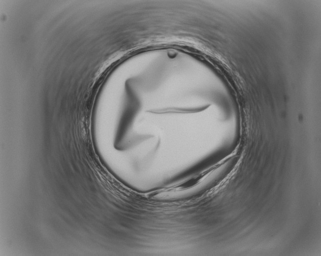 X0000068271497200605191815