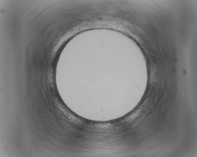 X0000068271498200605191815