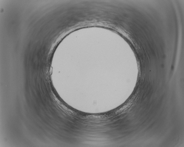 X0000068271500200605191815