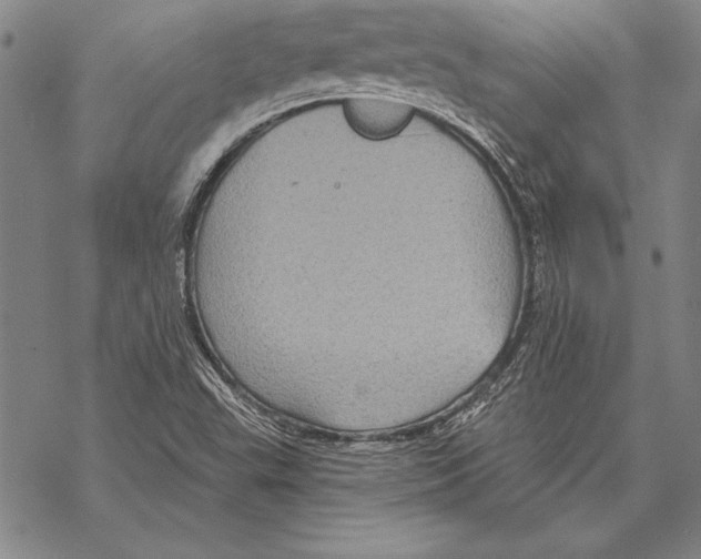 X0000068271503200605191815