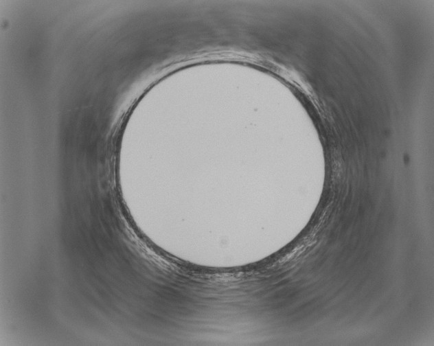 X0000068271504200605191815