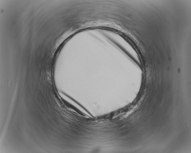 X0000068271505200605191815