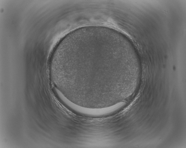 X0000068271506200605191815