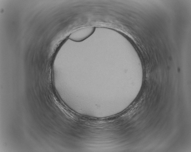 X0000068271507200605191815