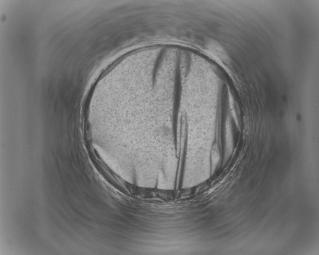 X0000068271508200605191815