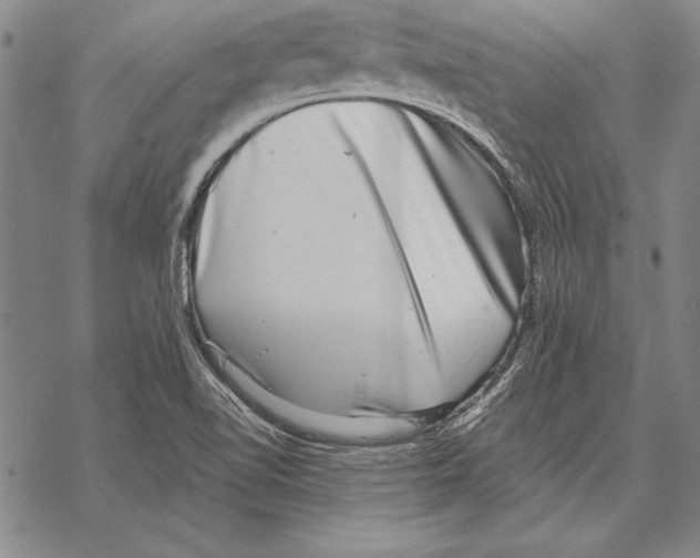 X0000068271510200605191815