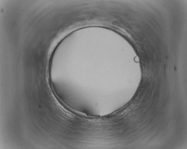 X0000068271512200605191815